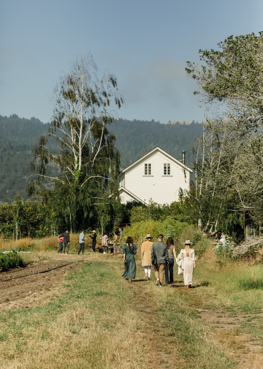 Guests walking toward a farmhouse.